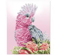 DIAMOND DOTZ - Pink Galah And Banksia - 51 x 41cm