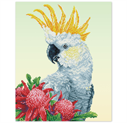 DIAMOND DOTZ - White Cockatoo And Waratahs - 51 x 41cm