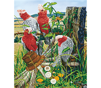 DIAMOND DOTZ - Galah Quartet - 47 x 57cm (18.50 x 22.44in))