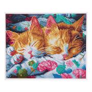 DIAMOND DOTZ - Kitty Kip - 35 x 45cm 