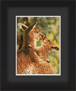 Frame with Framing Mat Board DDF21.310X410