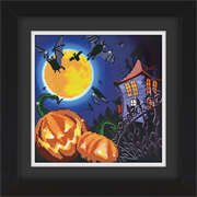 Frame with Framing Mat Board DDF19.315X315