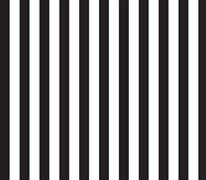 Camelot Mixology - Stripes - Black