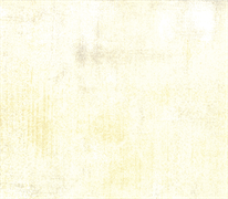 Moda - Grunge Basics - Cream (30150-160)